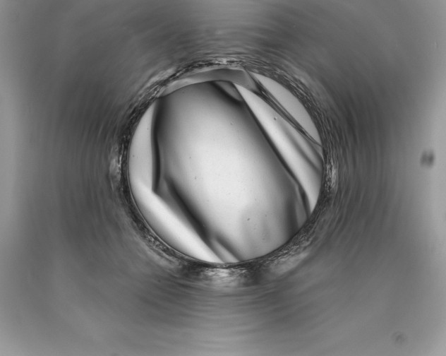 X0000089970558200707271923