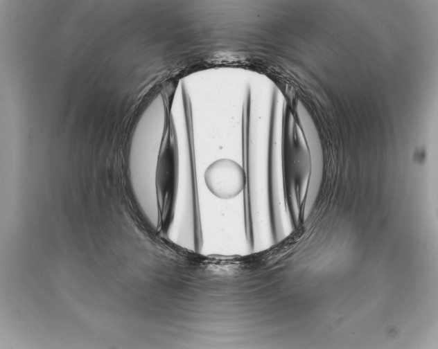 X0000089970560200707271923