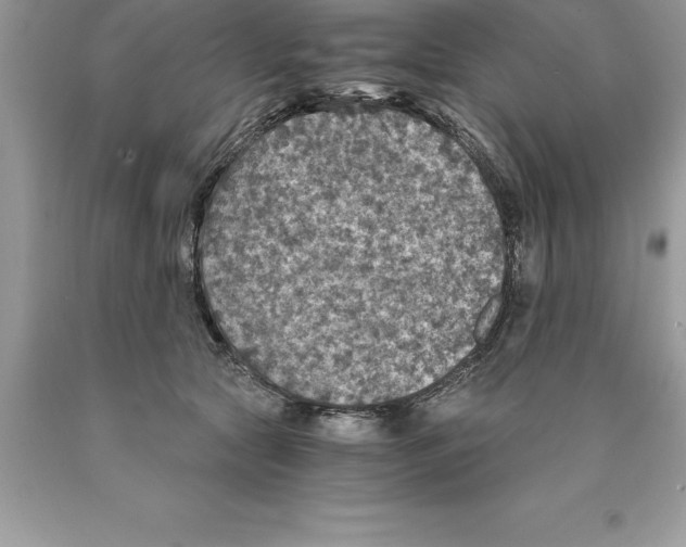 X0000089970561200707271923