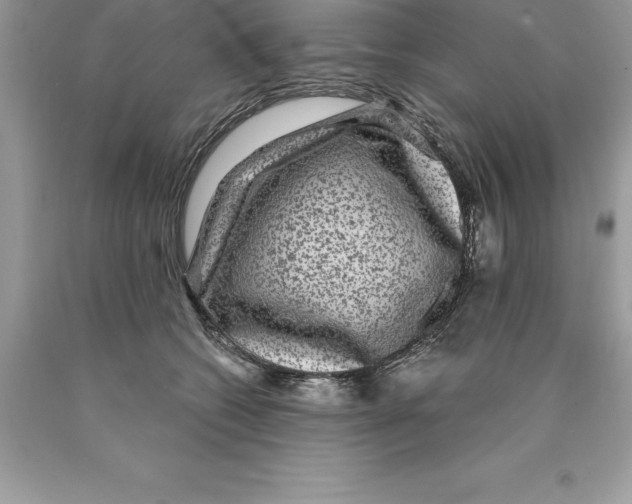 X0000089970562200707271923