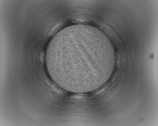 X0000089970563200707271924