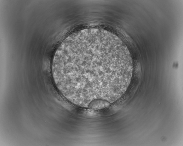 X0000089970565200707271924