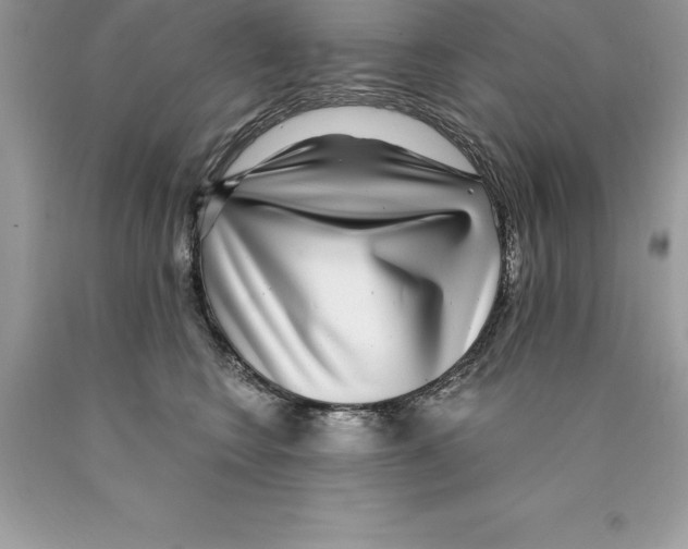 X0000089970566200707271924