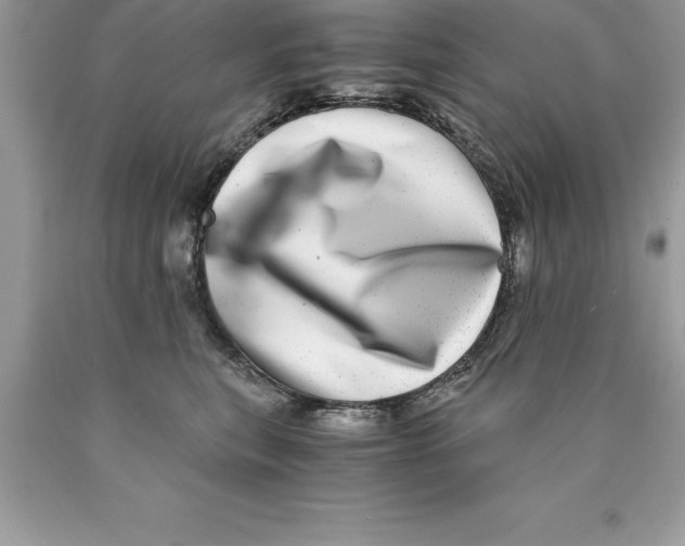 X0000089970567200707271924