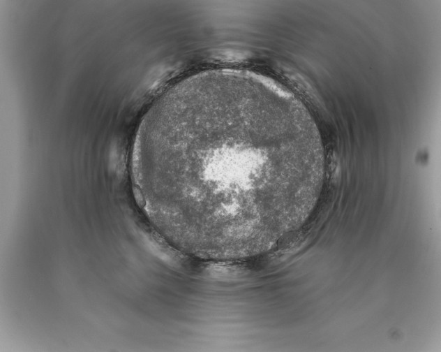 X0000089970568200707271924