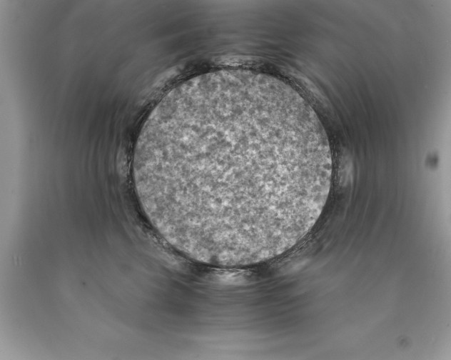 X0000089970569200707271924