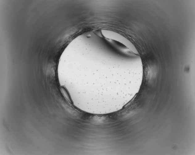 X0000089970570200707271924