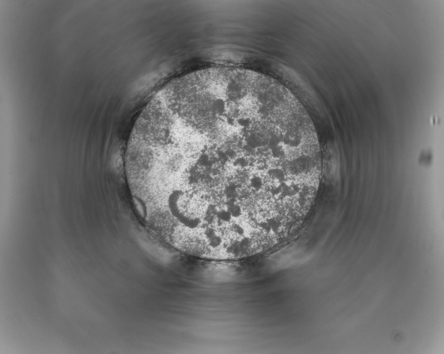 X0000089970573200707271924