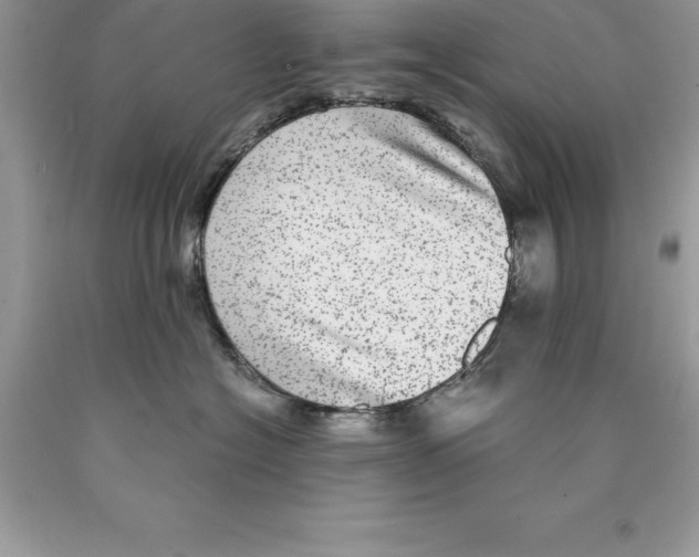 X0000089970574200707271924