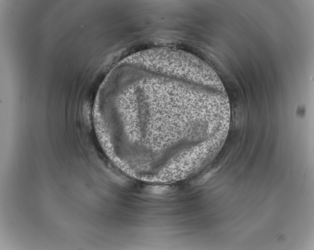 X0000089970575200707271924