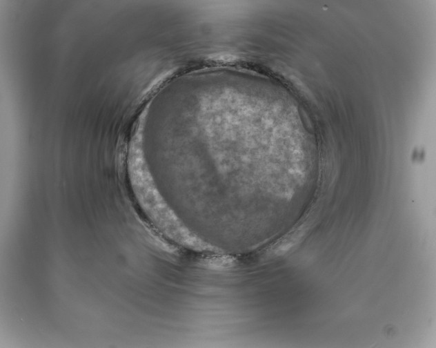 X0000089970576200707271924