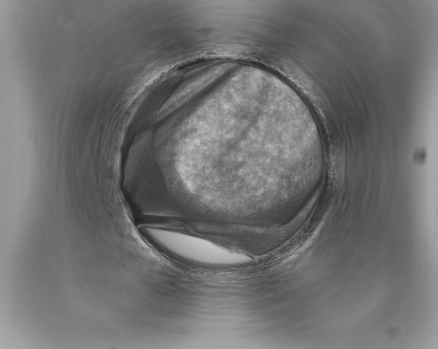 X0000089970577200707271923