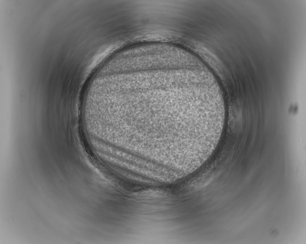 X0000089970578200707271923