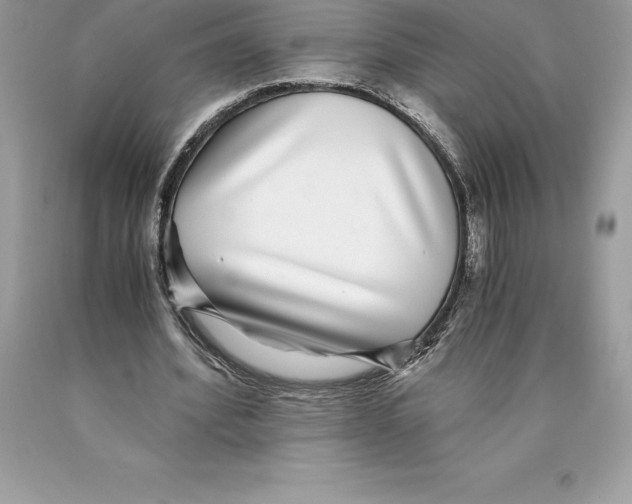 X0000089970580200707271923