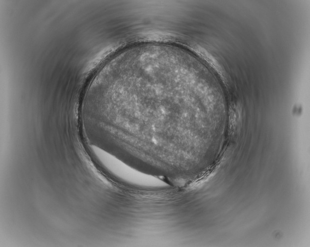 X0000089970581200707271923