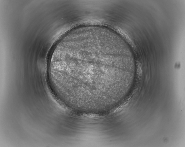 X0000089970582200707271923