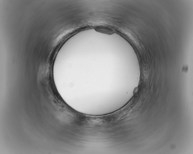 X0000089970583200707271923