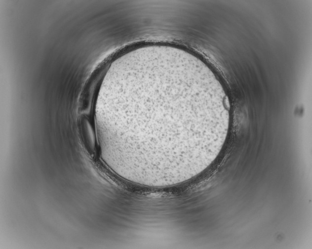 X0000089970584200707271923