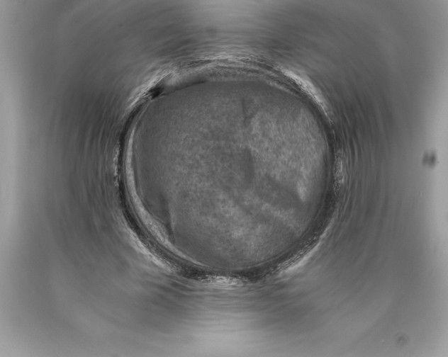 X0000089970585200707271923