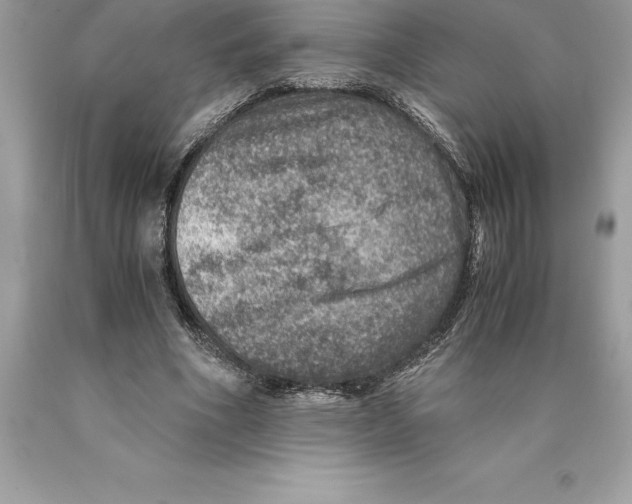 X0000089970586200707271923