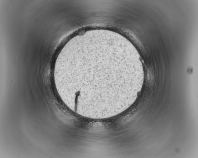 X0000089970588200707271923