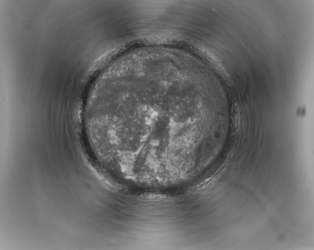 X0000089970590200707271923