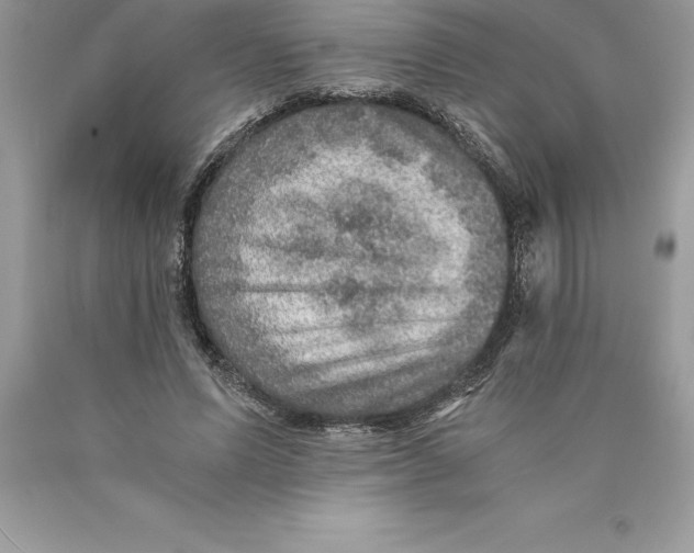 X0000089970591200707271923