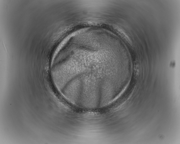 X0000089970593200707271923