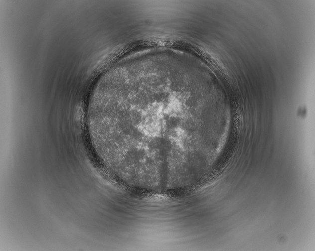 X0000089970594200707271923