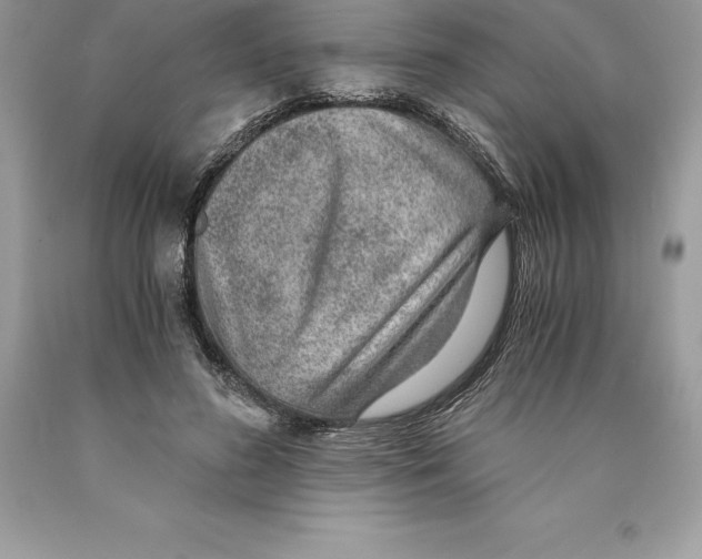 X0000089970596200707271923