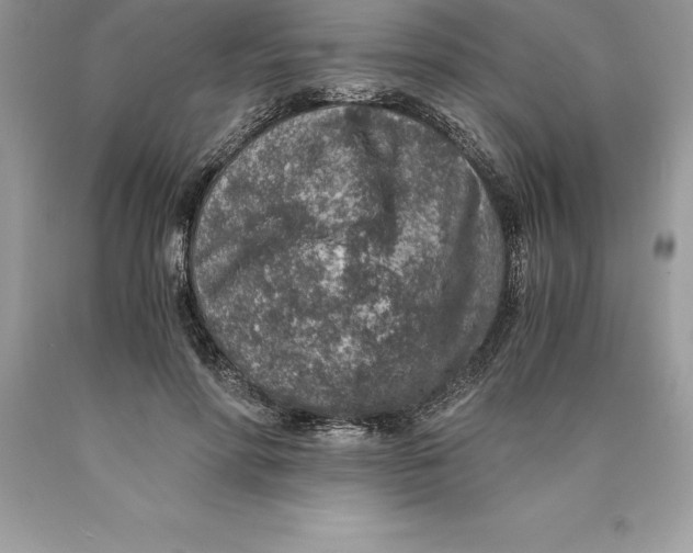 X0000089970598200707271923