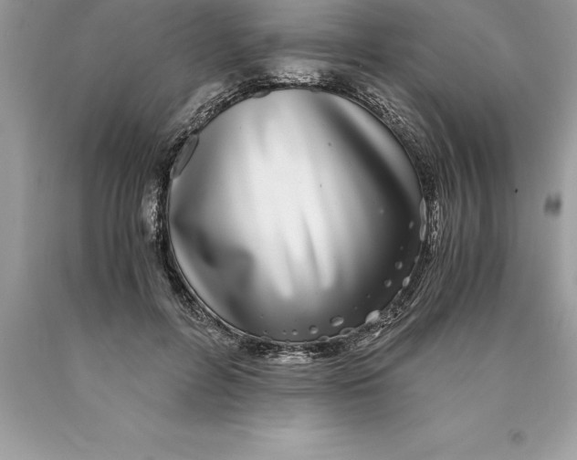 X0000089970600200707271923