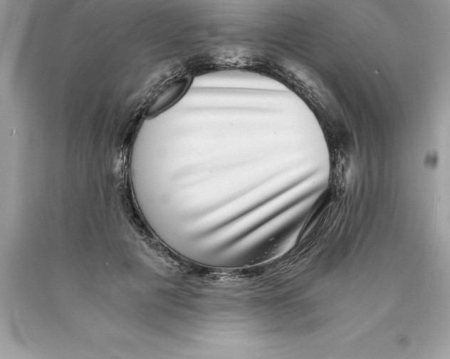 X0000089970601200707271923