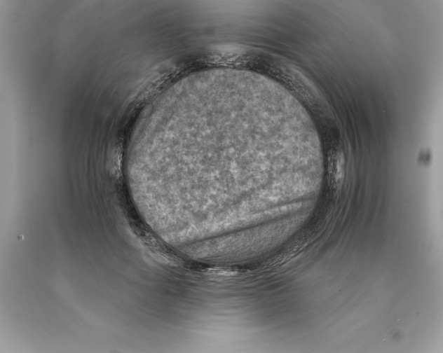 X0000089970602200707271923