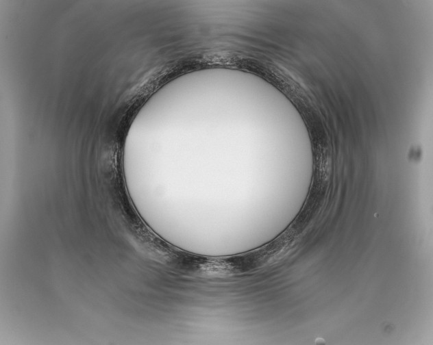 X0000089970603200707271923