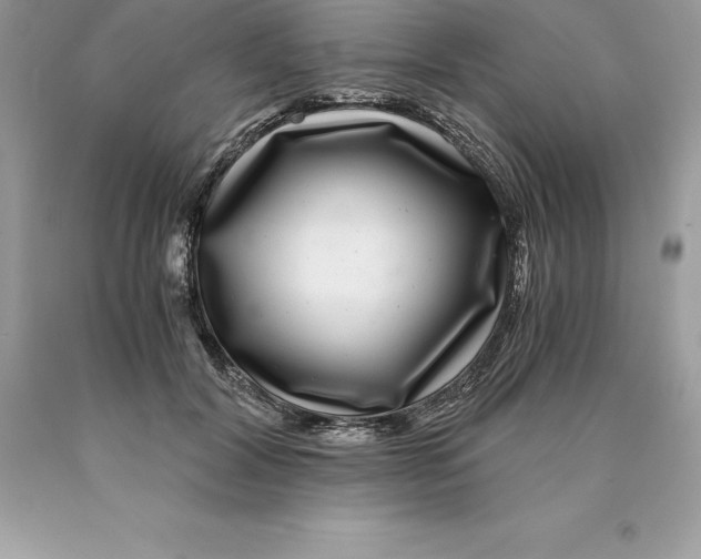 X0000089970604200707271923