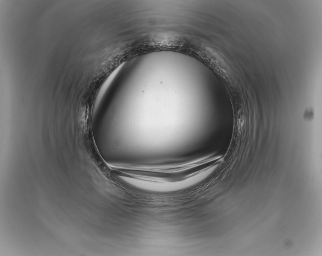 X0000089970605200707271923