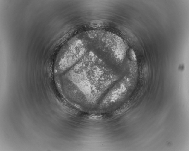 X0000089970606200707271923