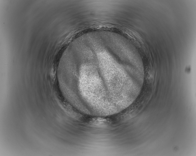 X0000089970607200707271923