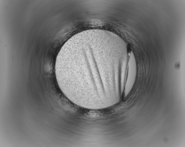 X0000089970608200707271923