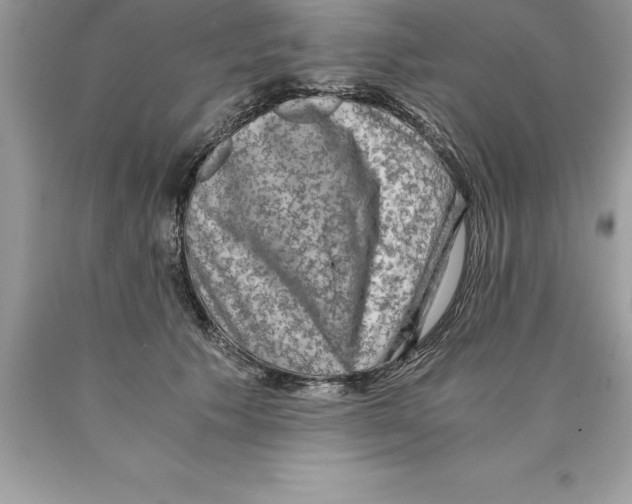 X0000089970609200707271923