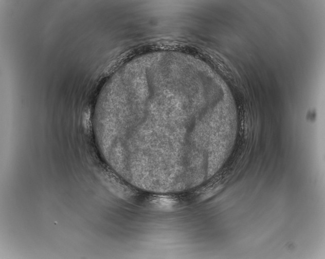 X0000089970610200707271923