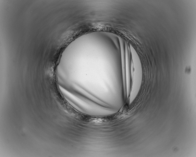 X0000089970611200707271923