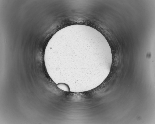 X0000089970612200707271923