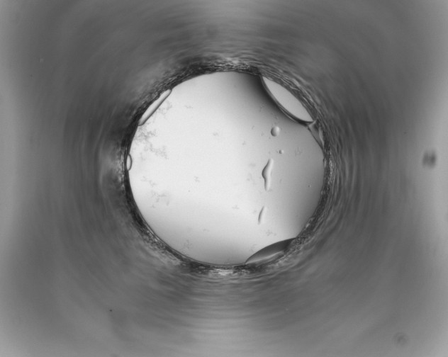 X0000089970613200707271923