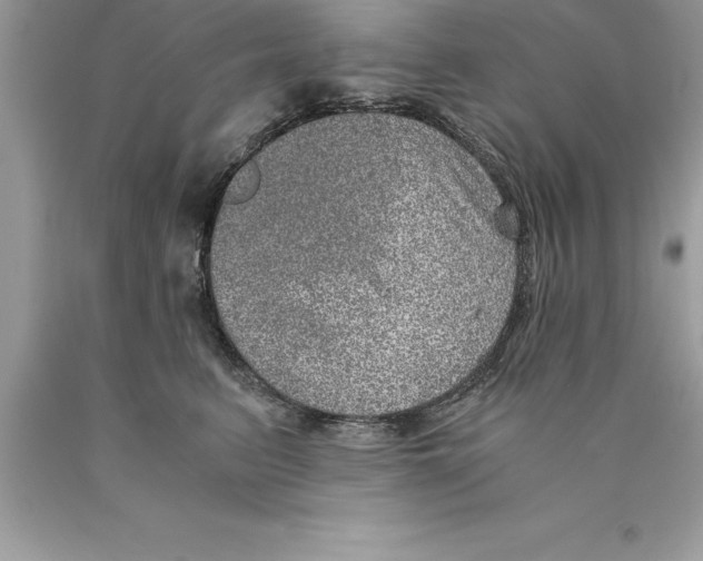 X0000089970615200707271923