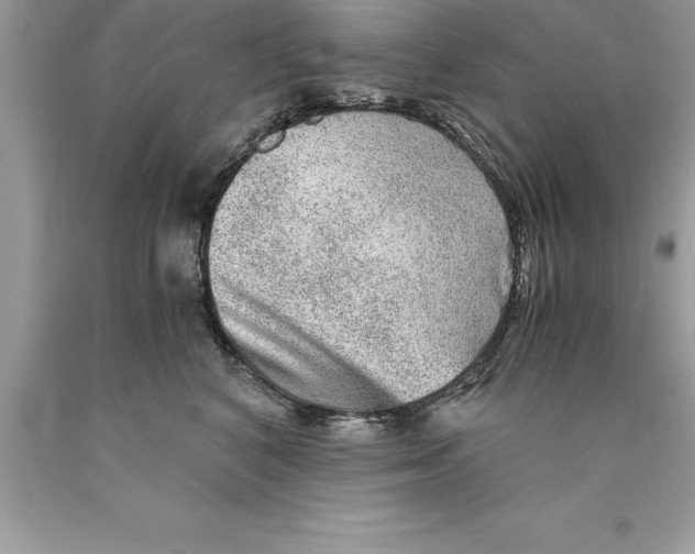 X0000089970616200707271923