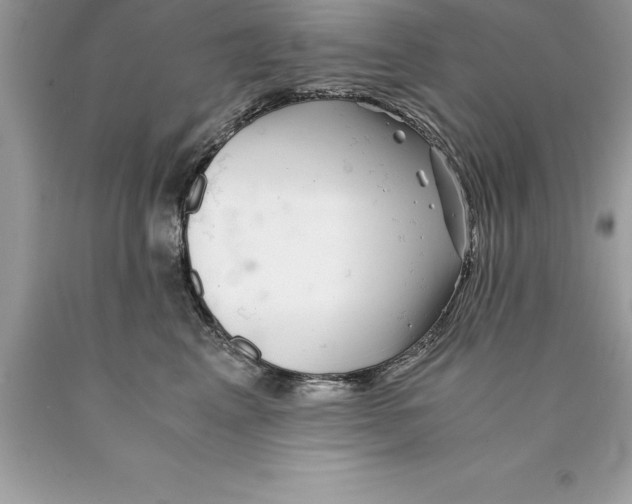 X0000089970617200707271923