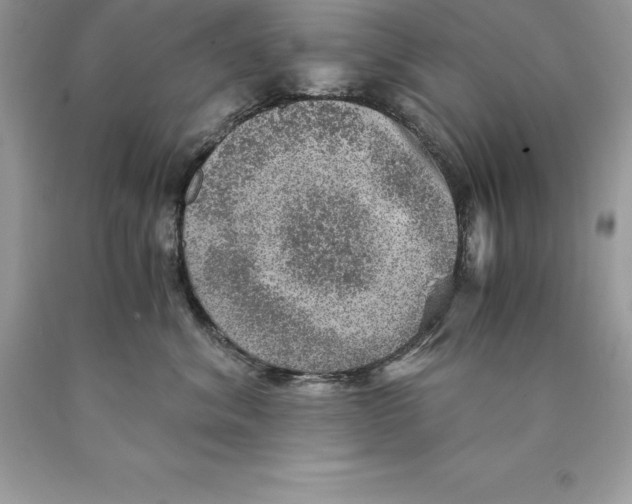 X0000089970620200707271923