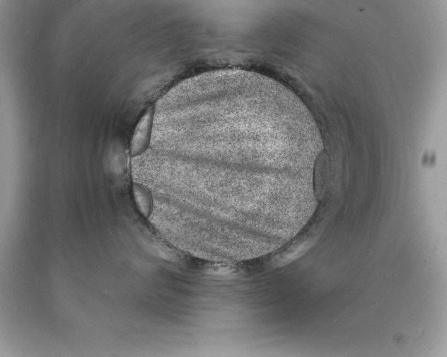 X0000089970624200707271922